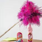 Impeccabili pulizie per la casa