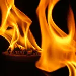 Perché è importante saper sedurre