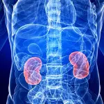 Malattie reni: alimentazione, dolore ai reni e calcoli renali