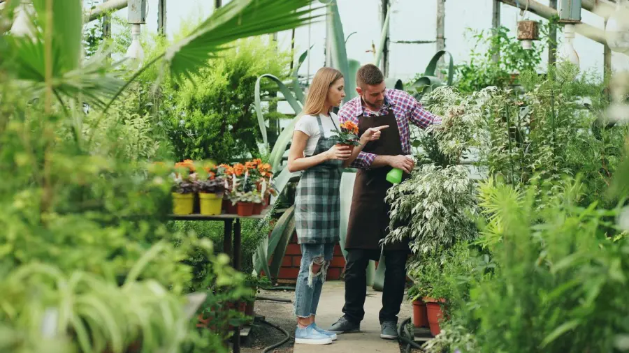 Per gli amanti della botanica: osservare le piante significa scoprire storie che quasi nessuno nota