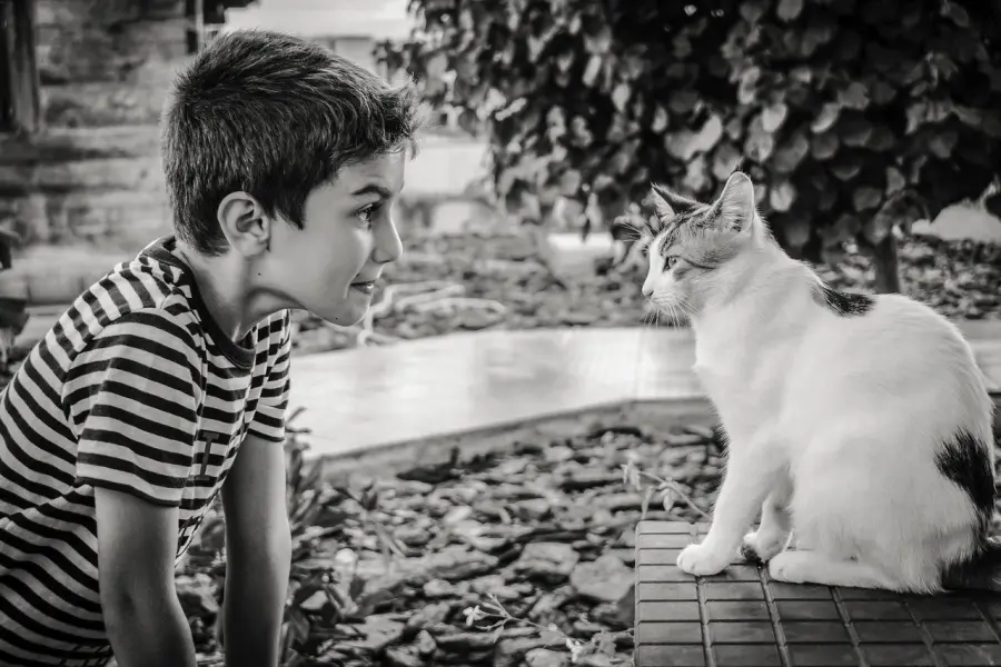 Gatti e Bambini: come Fare?
