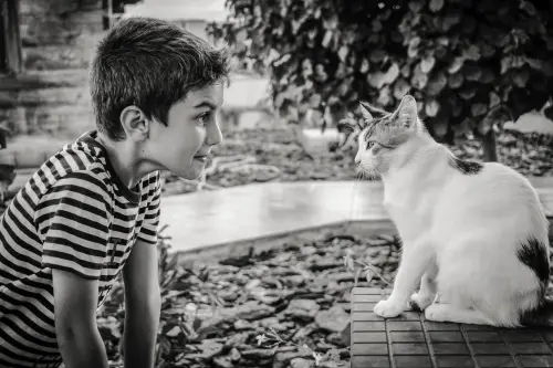 Gatti e Bambini: come Fare?