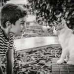 Gatti e Bambini: come Fare?