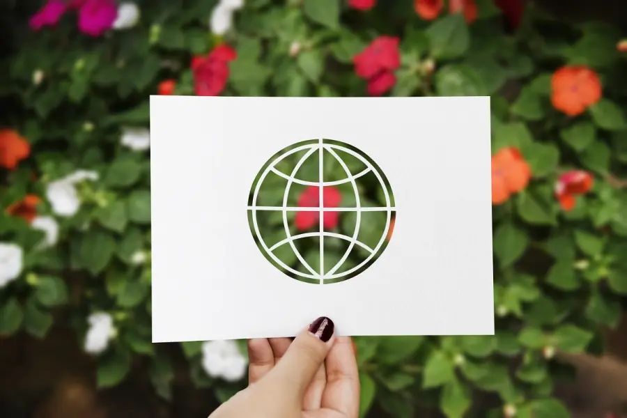 Ecologia e ambiente: cosa significa aziende sostenibili