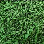 Spirulina: l’alga super- food che non può mancare nella tua dieta