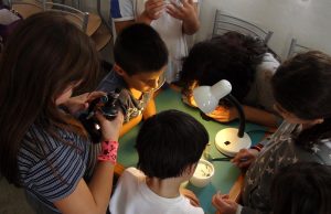 Quali sono le cause dei pidocchi nei bambini: alcuni consigli pidocchi nei bambini